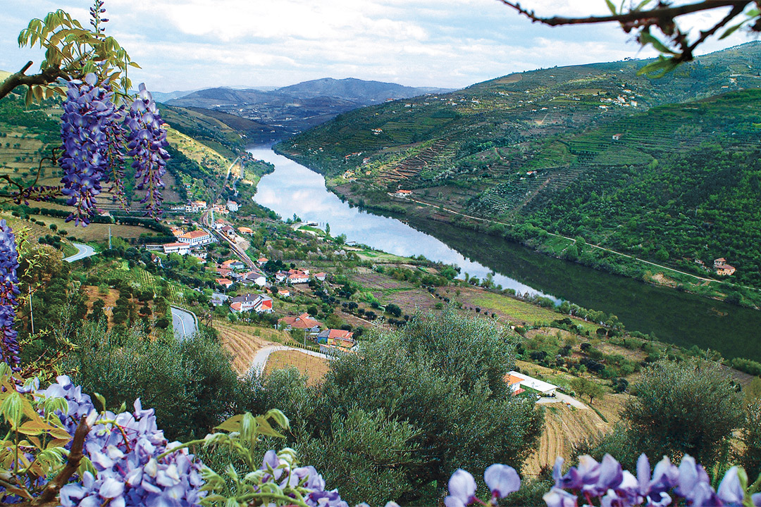 Sailing the beautiful Douro River Valley