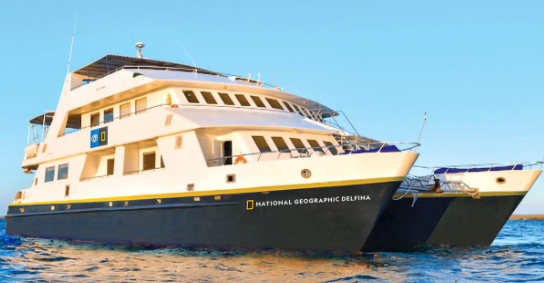 National Geographic Delfina