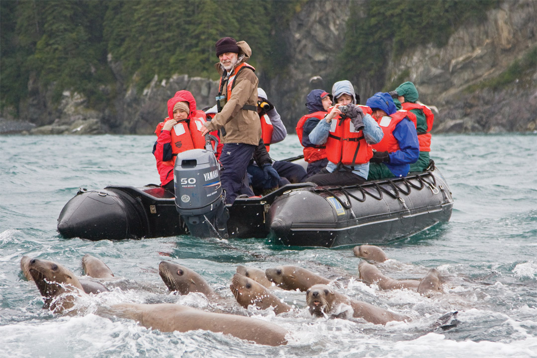 Many <em>Lindblad</em> ship itineraries feature included Zodiac excursions, allowing you to get closer to wildlife in their natural habitat than ever before!  
