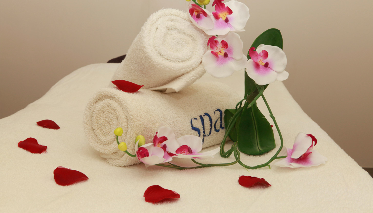 Pullmantur Cruises Slides