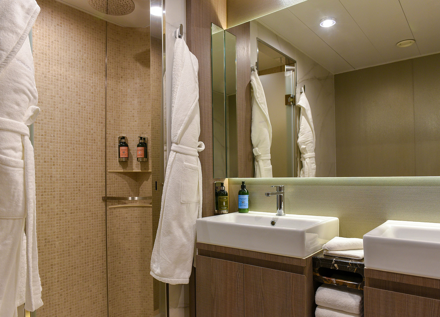 Navigator Suite - Bathroom