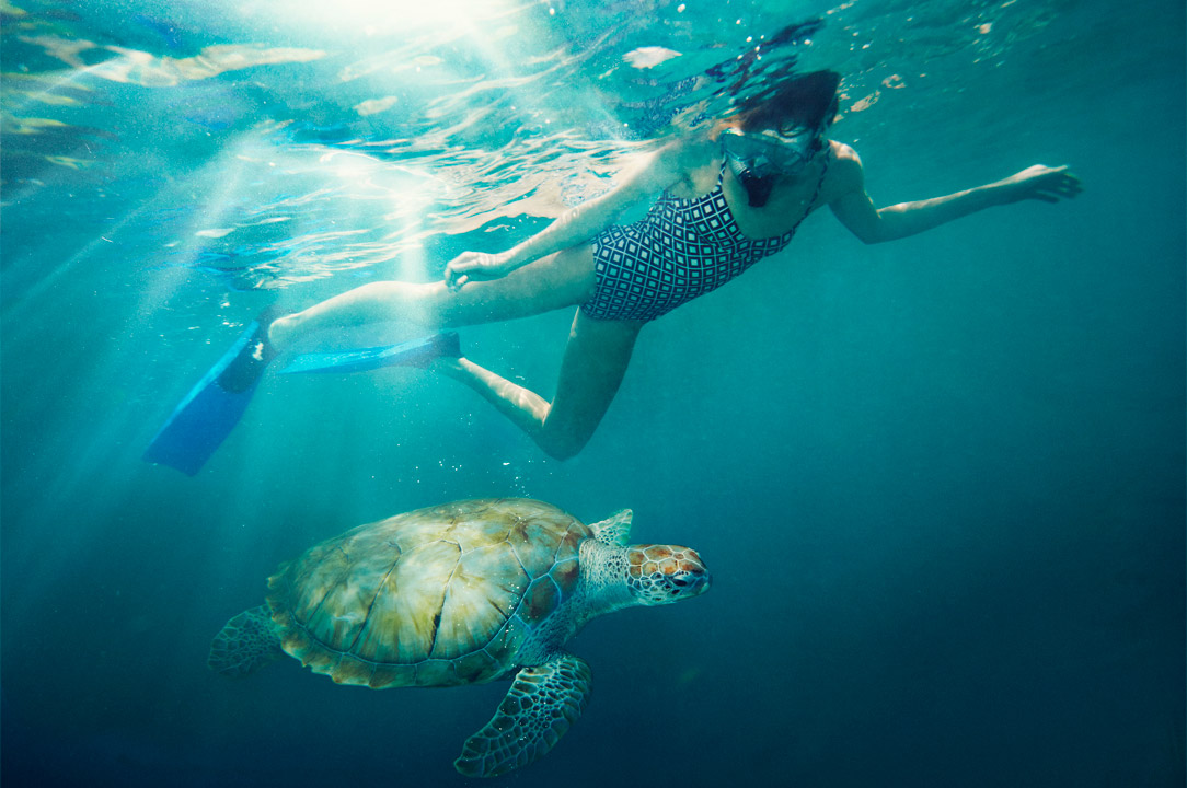  Enhance your cruise with a snorkeling excursion. 