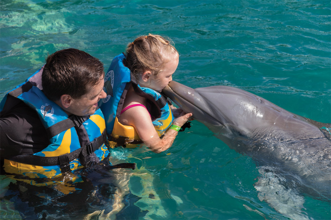 Don’t miss the chance to swim with the dolphins on an excursion booked onboard <em>Harmony of the Seas</em>! 