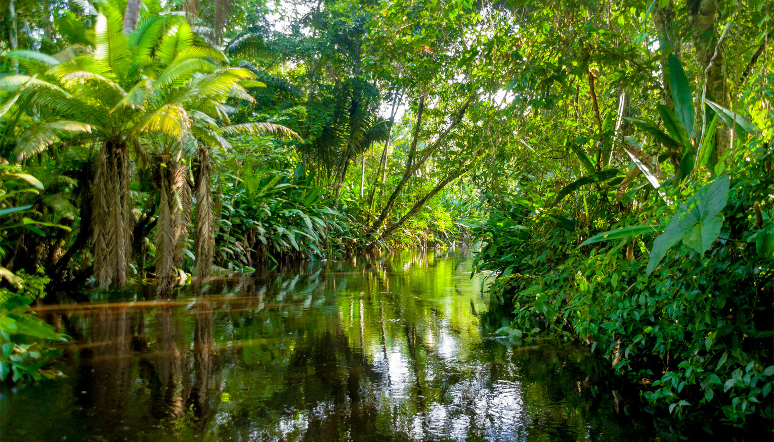 Amazon River Vacations Slides