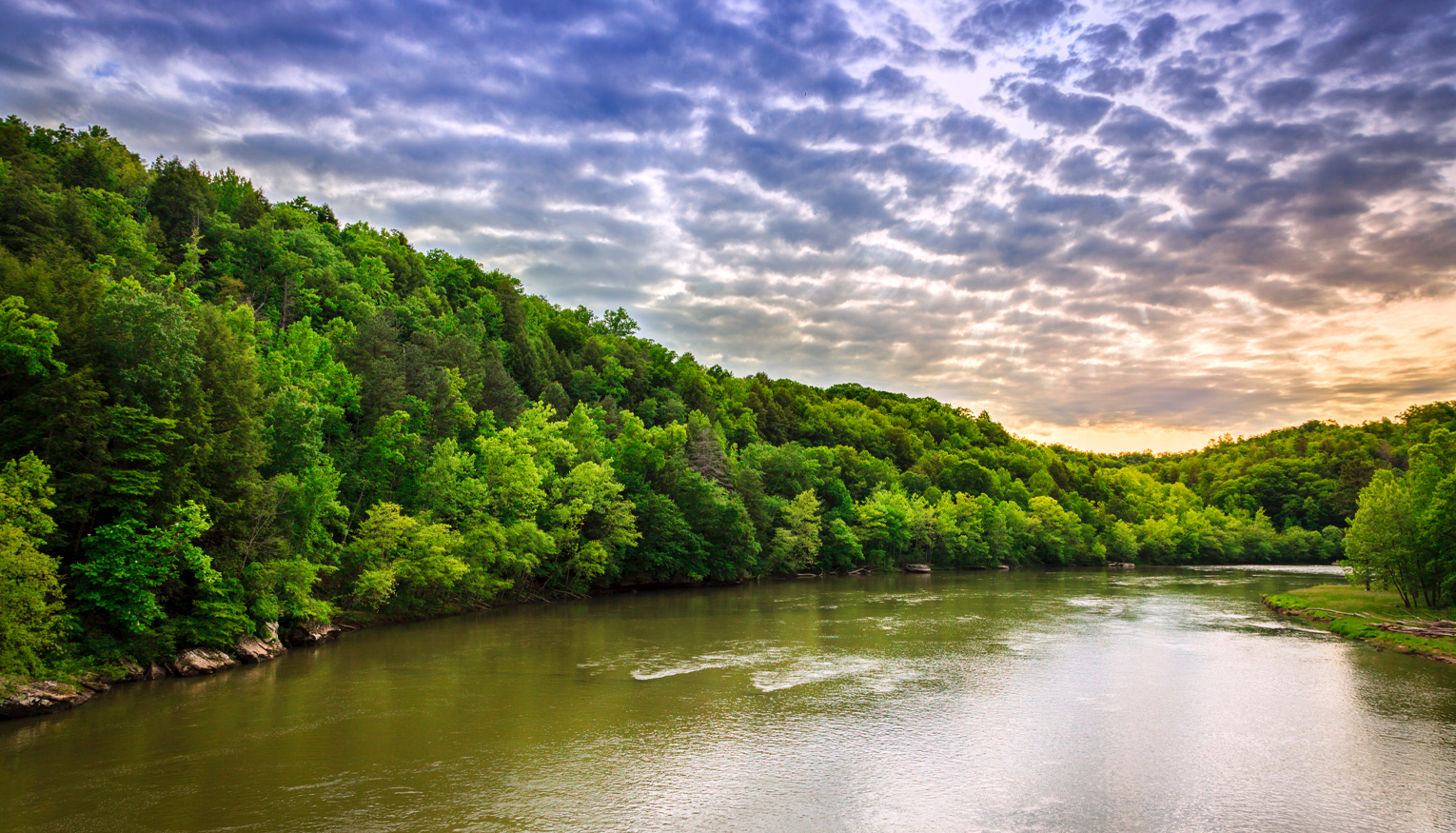 Cumberland River Cruises