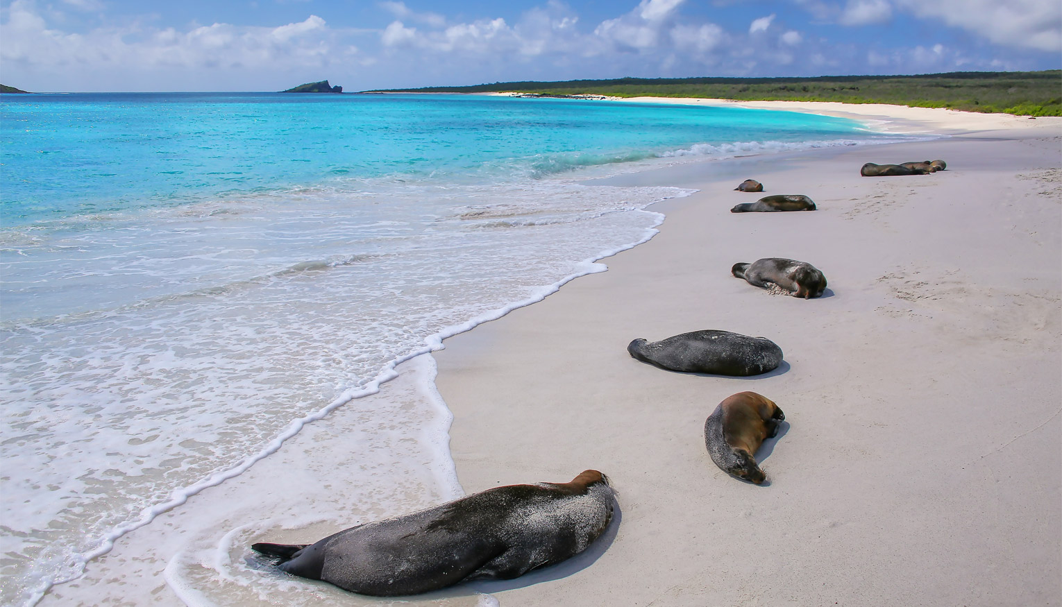 Galapagos Vacations Slides