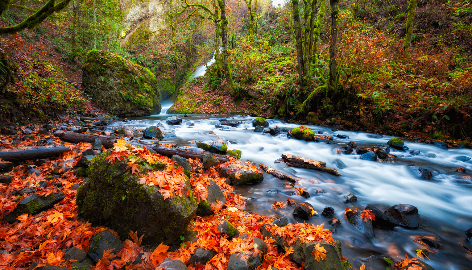 Pacific Northwest Vacations Slides