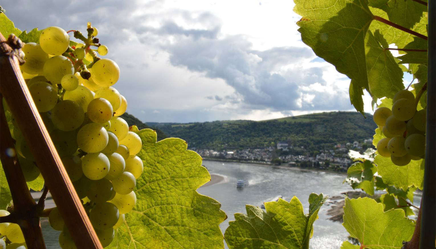 Rhine River Vacations Slides