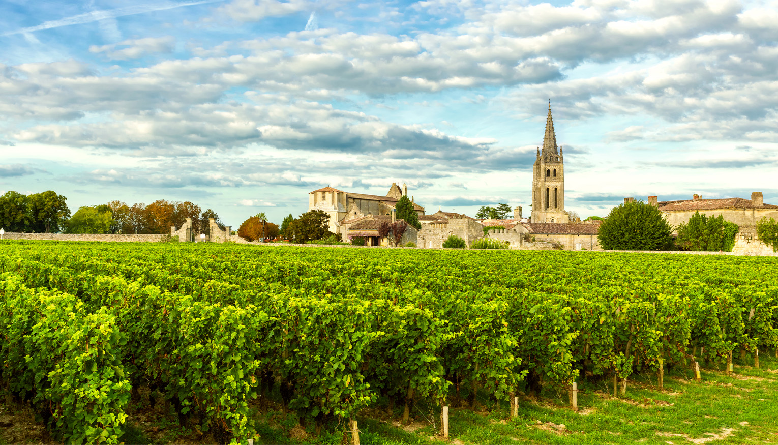 French Wine Country
